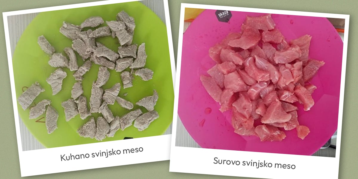 Can we compost raw meat in a bokashi composter?